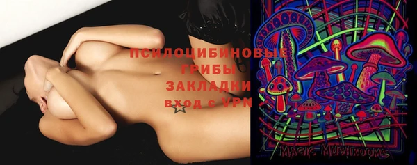 гашик Бронницы