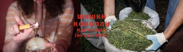 гашик Бронницы