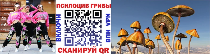 Купить где  Мезень  Галлюциногенные грибы ЛСД 